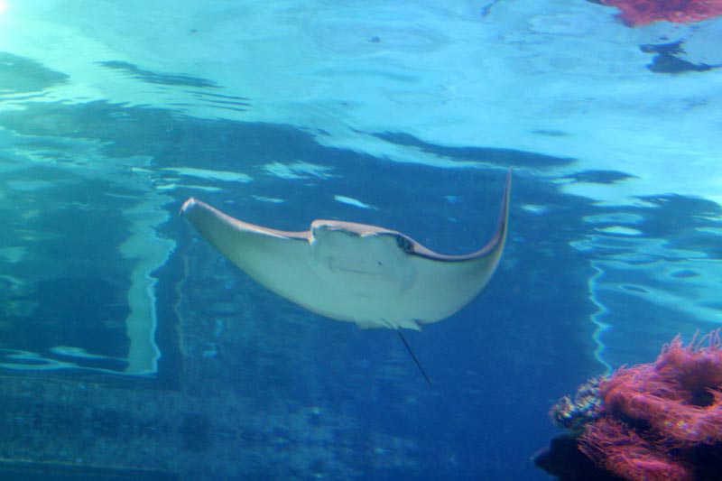 Killikus® Fotographie Killikus® Fotographie